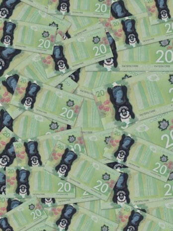20$  Canada  Dollars Banknotes 5000€ for 50000€