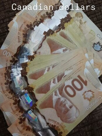 100$  Canada  Dollars Banknotes 5000€ for 50000€